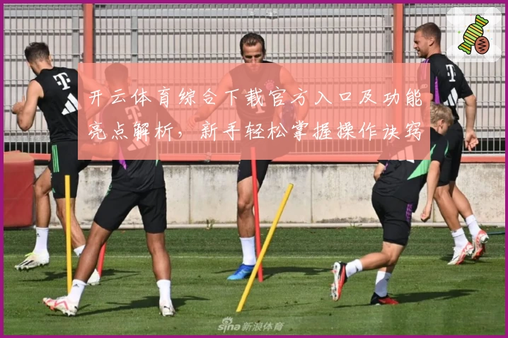 开云体育综合下载官方入口及功能亮点解析，新手轻松掌握操作诀窍