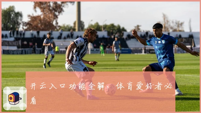 开云入口功能全解，体育爱好者必看